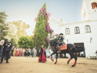 1780991441_elf-sevilla-307.jpg